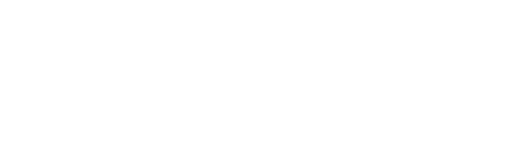Logo DR. FRIEDERICH & COLLEGEN | Wirtschaftsprüfer Steuerberater Rechtsanwälte | Osnabrück Magdeburg Neuenkirchen-Vörden